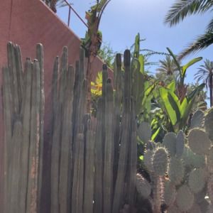 Meet your Posher, Char